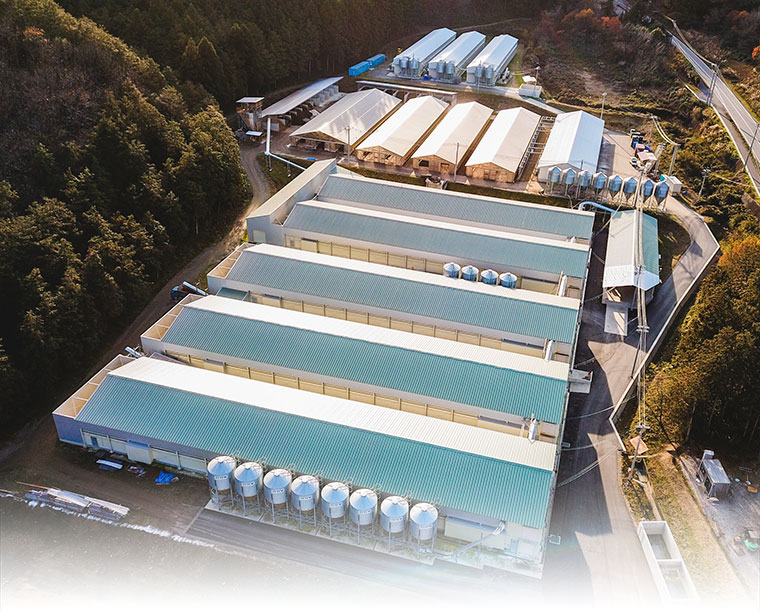 谷汲農場
