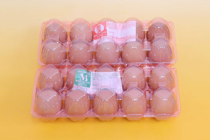 赤レギュラー卵
