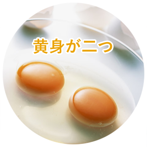 黄身が二つ入った卵（二黄身）
