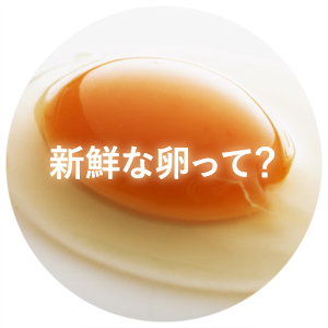 新鮮な卵って？